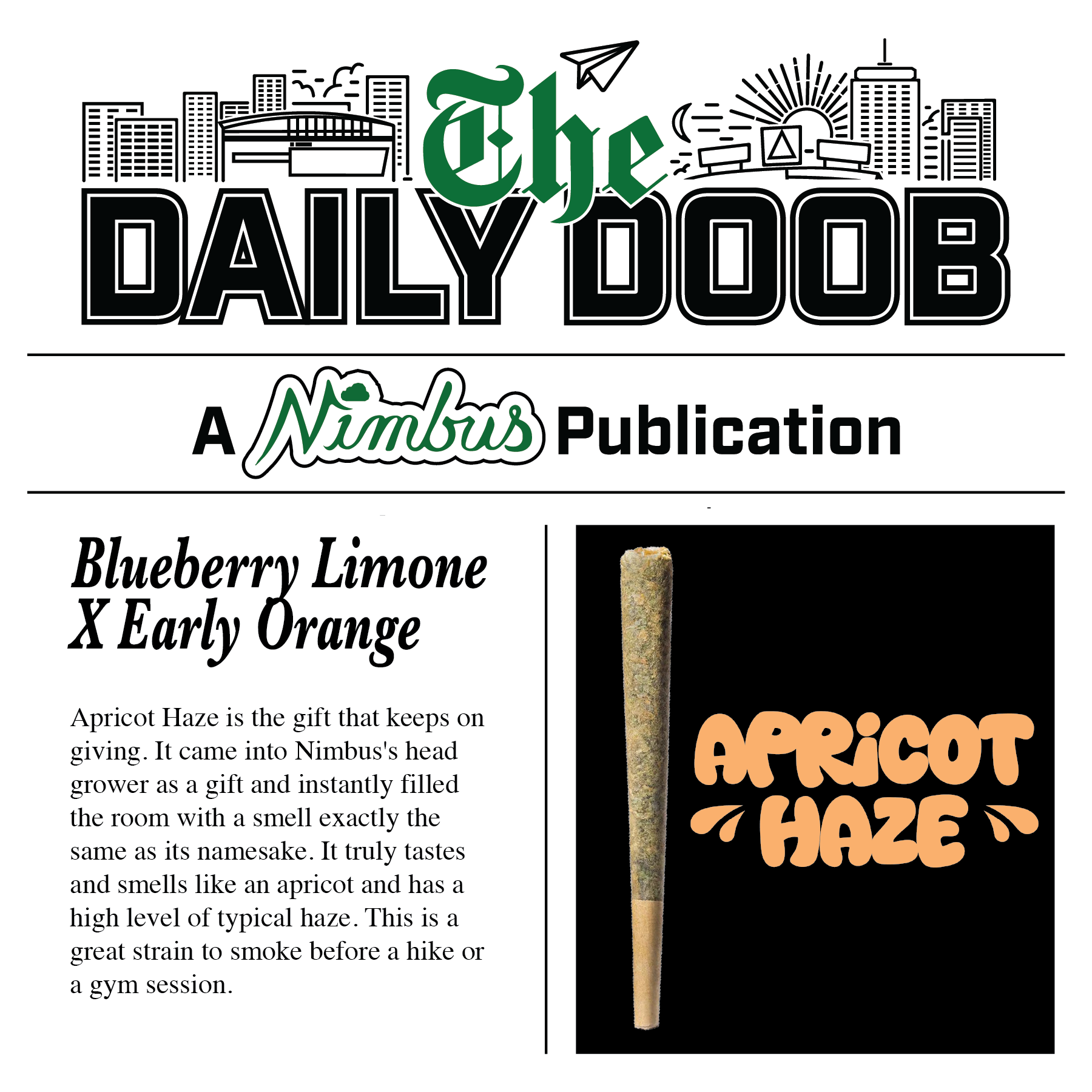 Nimbus Apricot Haze — The Daily Doobs Preroll, 1.0g, Sativa — Massachusetts