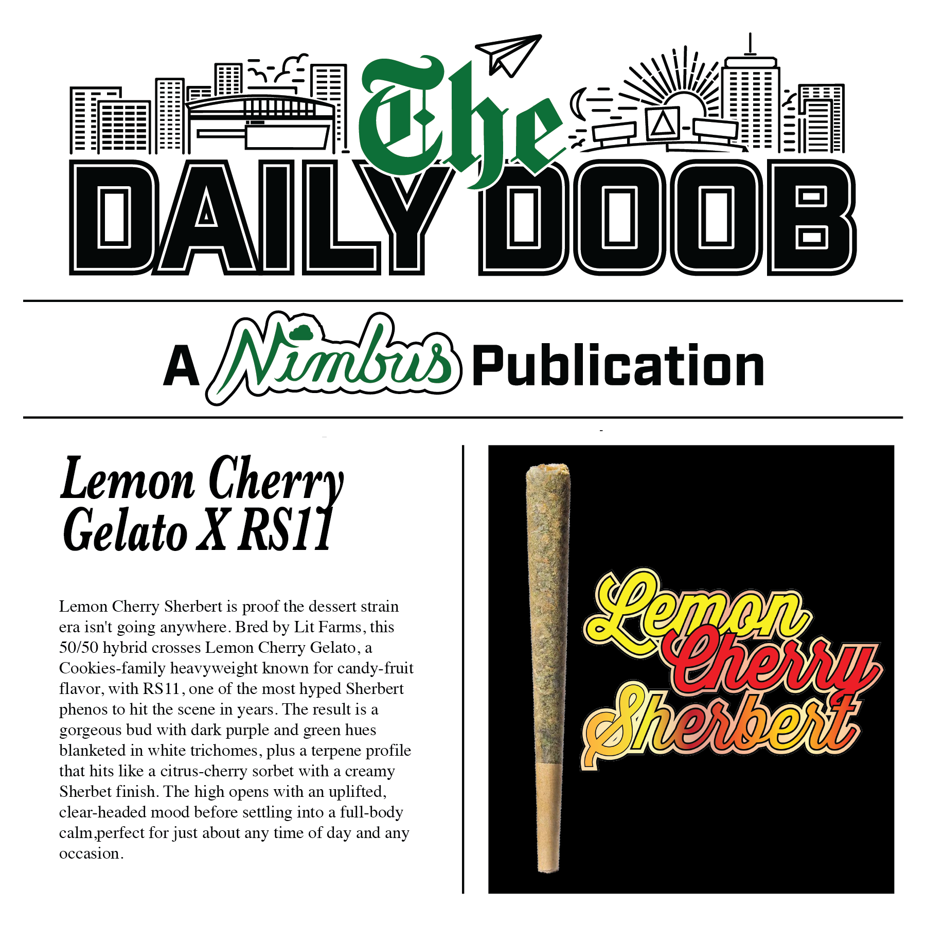 Nimbus Lemon Cherry Sherbert — The Daily Doobs Preroll, 1.0g, Hybrid — Massachusetts
