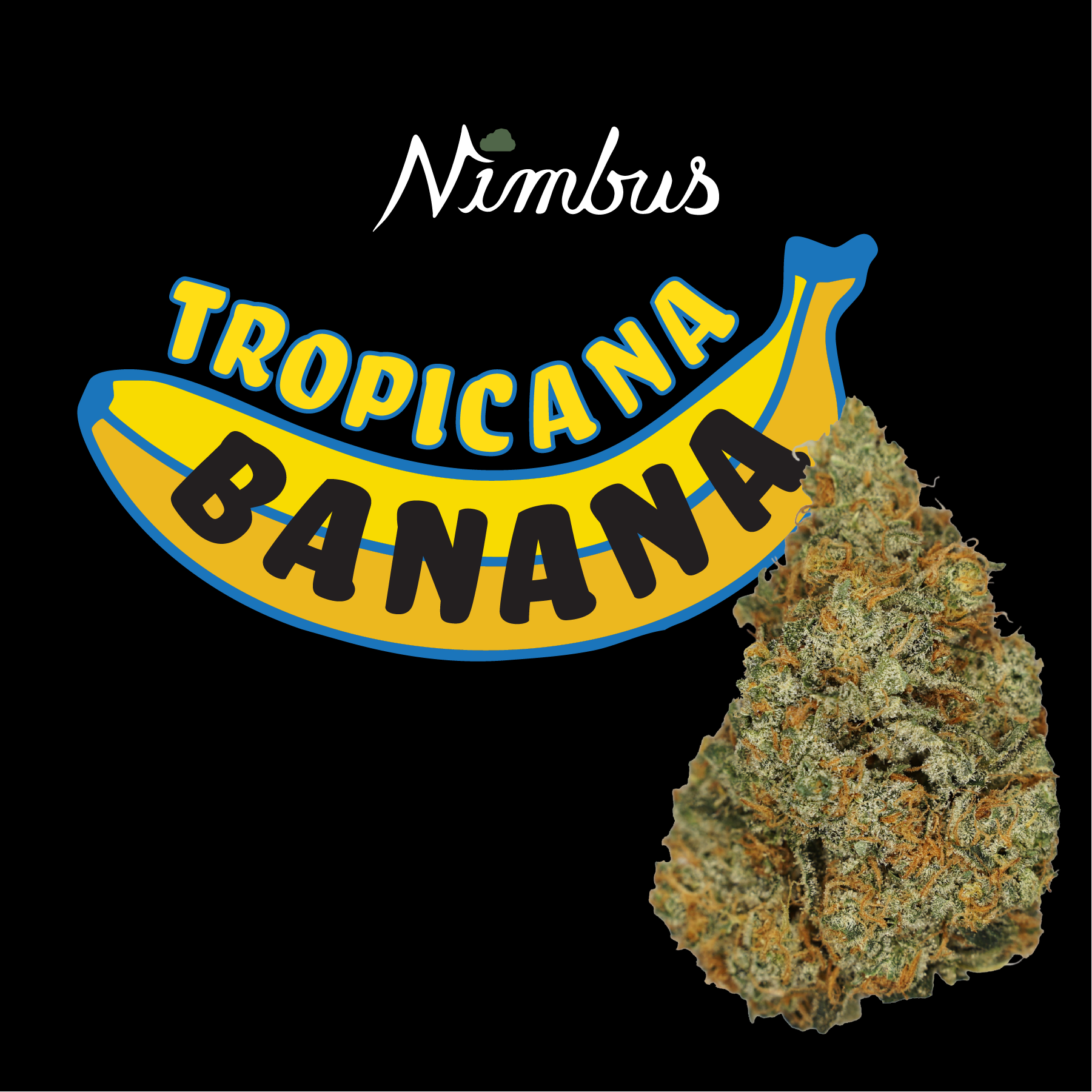 Nimbus Tropicana Banana — Flowah Flower, 3.5g, Sativa-Dominant Hybrid — Massachusetts