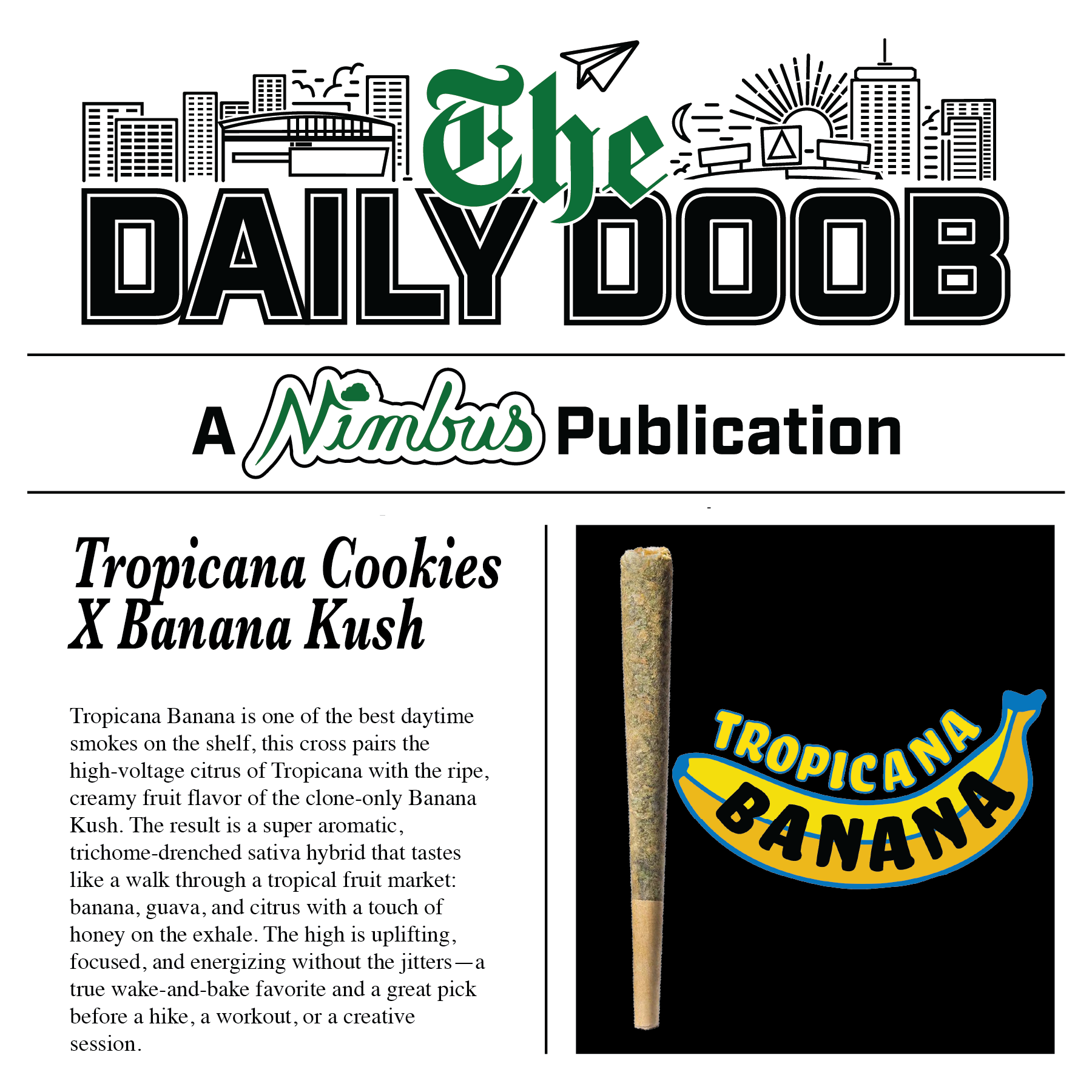 Nimbus Tropicana Banana — The Daily Doobs Preroll, 1.0g, Sativa-Dominant Hybrid — Massachusetts