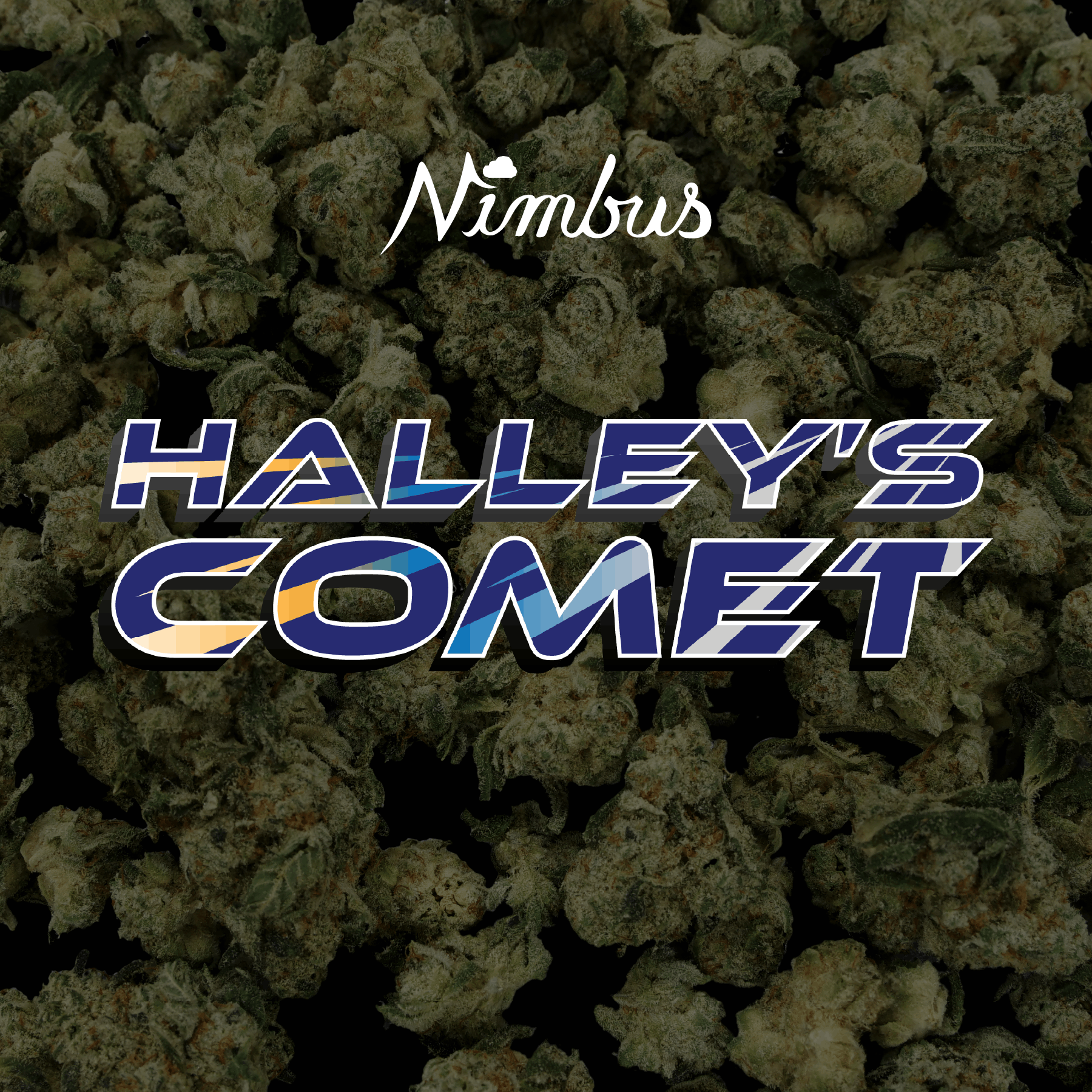 Nimbus Halley's Comet — Nugs Flower, 14g, Hybrid — Massachusetts