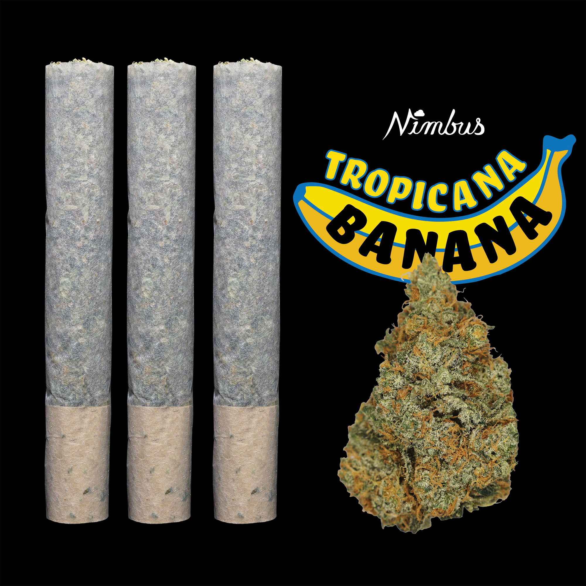 Nimbus Tropicana Banana — Cannons Preroll, 3.0g, Sativa-Dominant Hybrid — Massachusetts