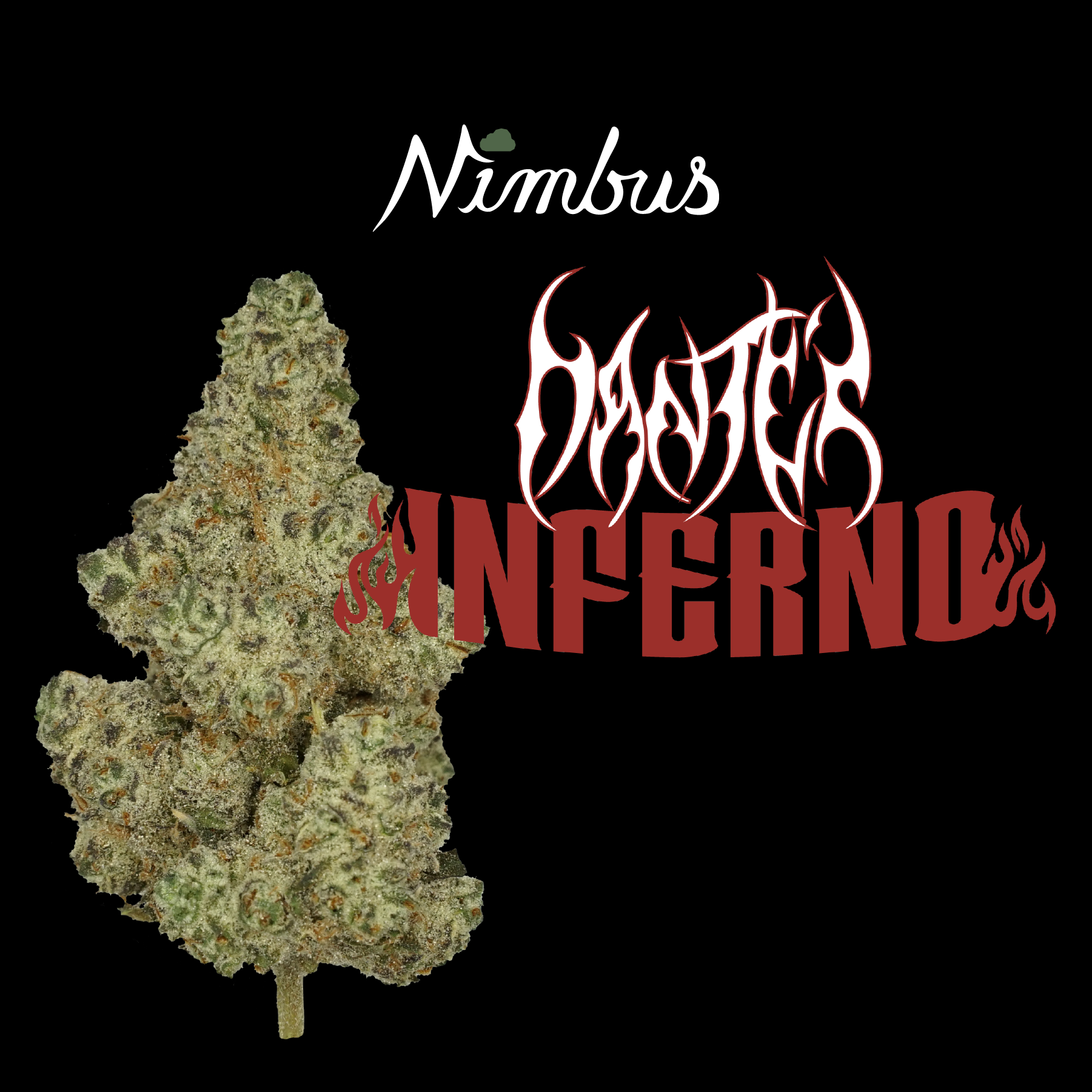 Nimbus Dante's Inferno — Flowah Flower, 3.5g, Hybrid — Massachusetts