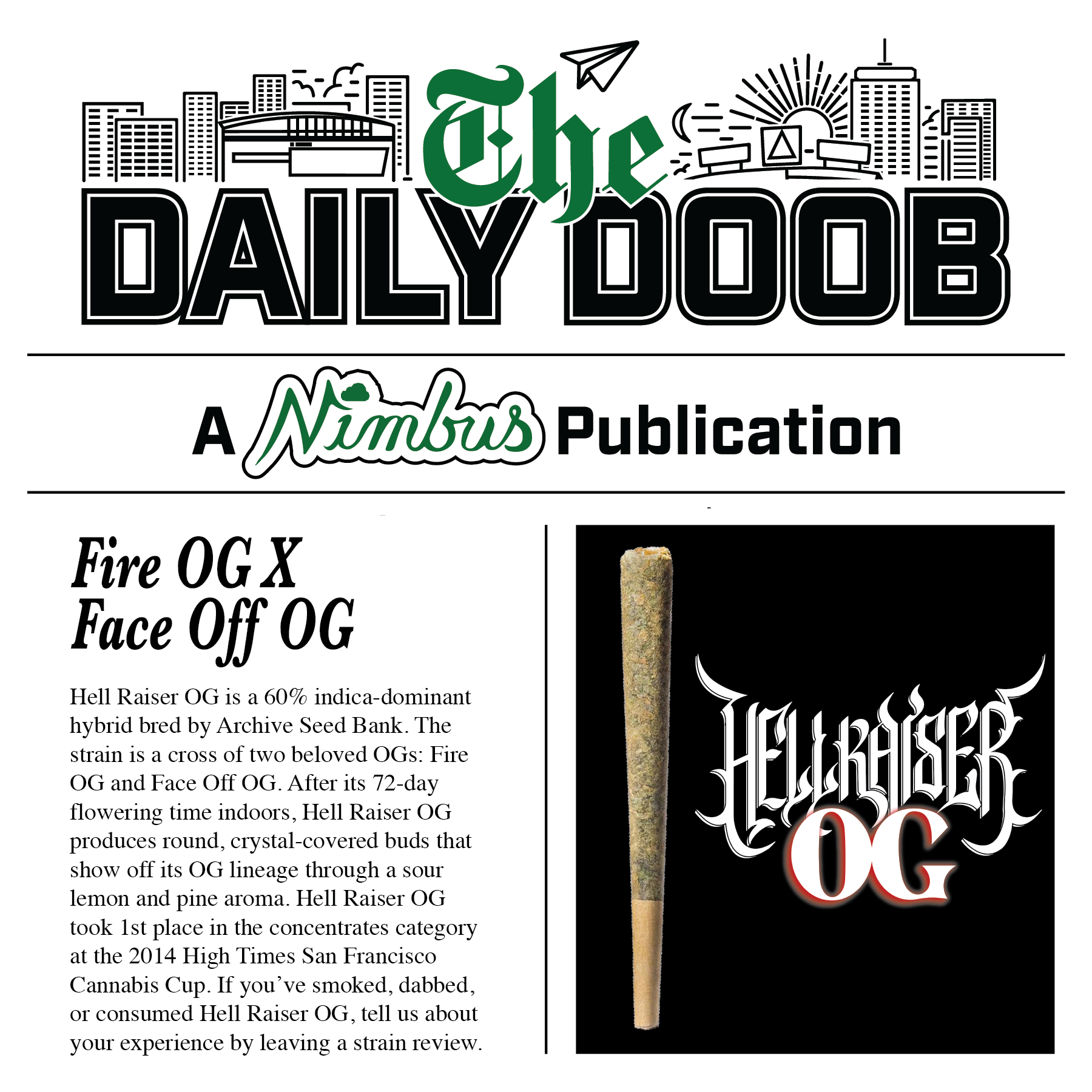 Nimbus Hell Raiser OG — The Daily Doobs Preroll, 1.0g, Indica-Dominant Hybrid — Massachusetts