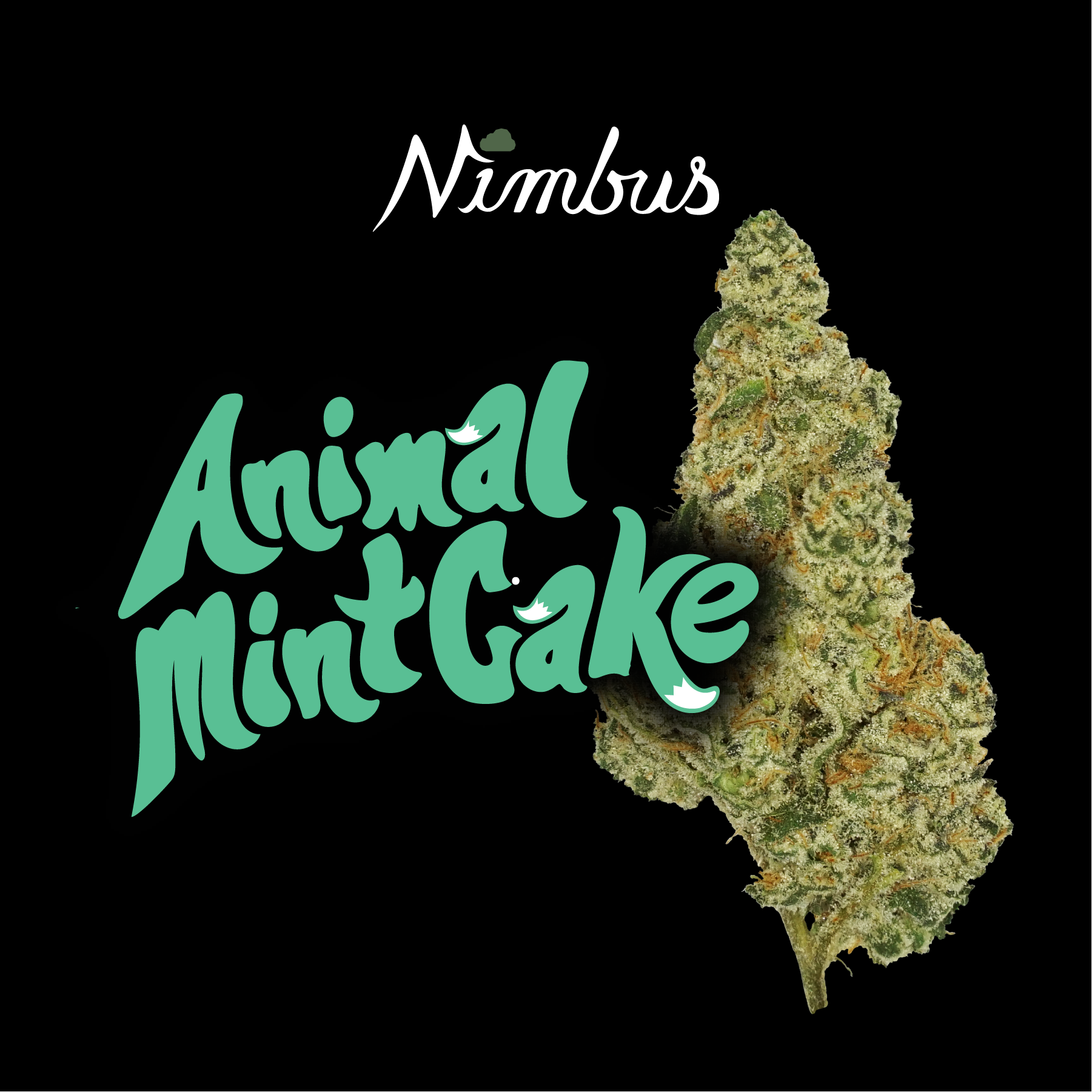 Nimbus Animal Mint Cake — Flowah Flower, 3.5g, Indica-Dominant Hybrid — Massachusetts