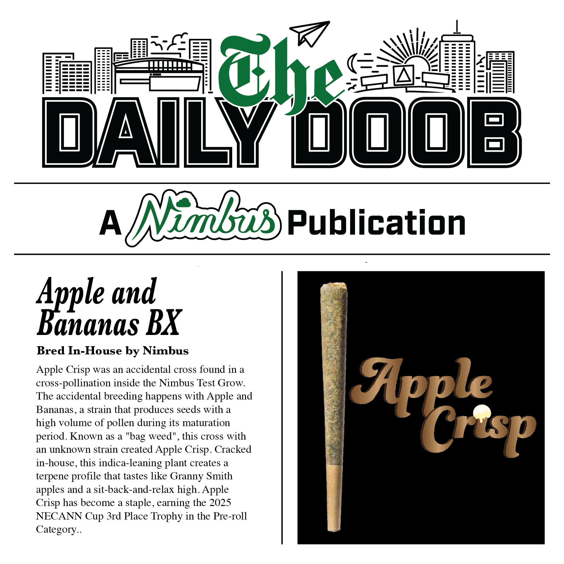 Nimbus Apple Crisp — The Daily Doobs Preroll, 1.0g, Indica — Massachusetts