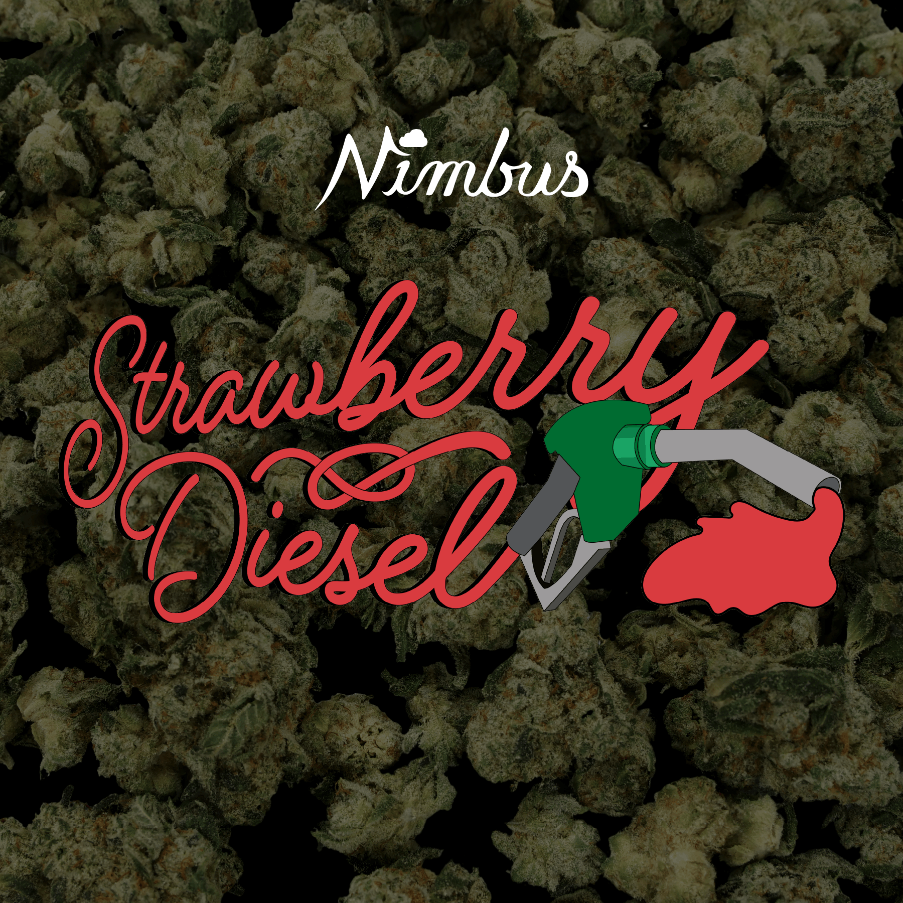 Nimbus Strawberry Diesel — Nugs Flower, 7.0g, Hybrid — Massachusetts