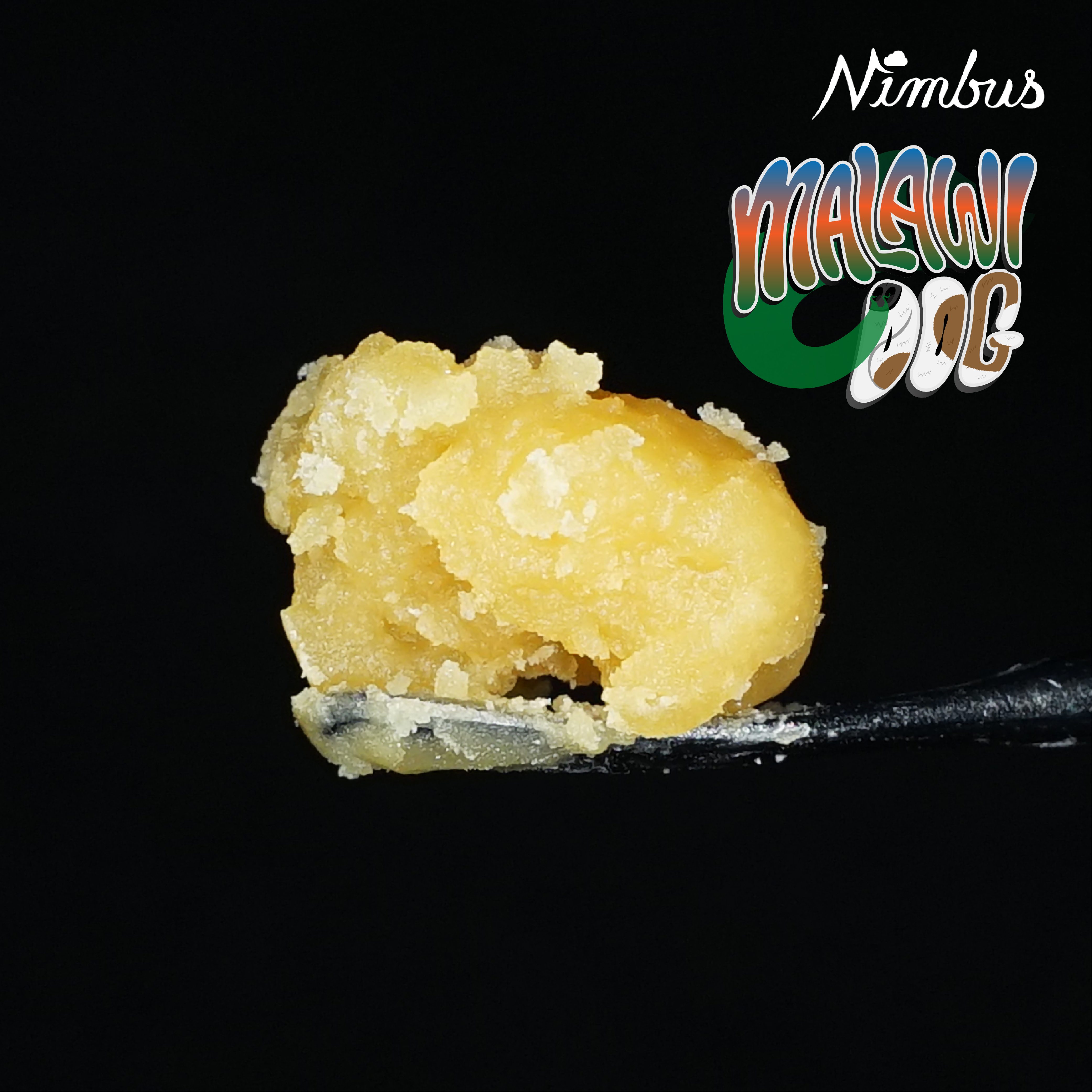 Nimbus Malawi Dog — Live Dabs Concentrates, 1.0g, Hybrid — Massachusetts