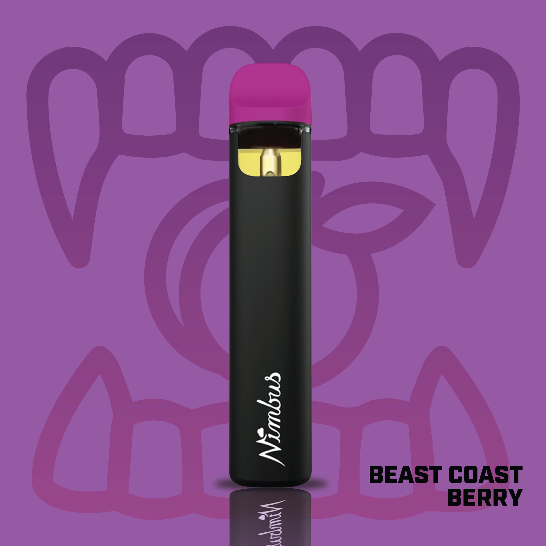 Nimbus Beast Coast Berry — Icon Vape Disposable, 0.5g, Sativa-Dominant Hybrid — New Jersey