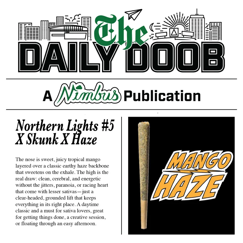Nimbus Mango Haze — The Daily Doobs Preroll, 1.0g, Hybrid — Massachusetts