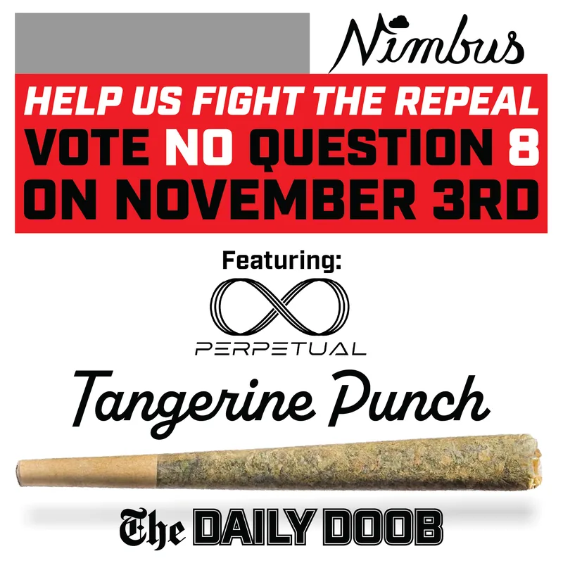 Perpetual's Tangerine Punch (1g Daily Doob)