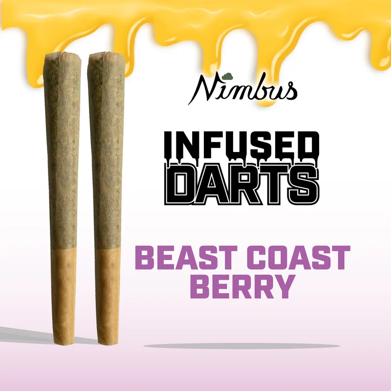 Nimbus Beast Coast Berry — Lit Darts Infused Preroll, 1.0g 2-Pack, Sativa-Dominant Hybrid — New Jersey
