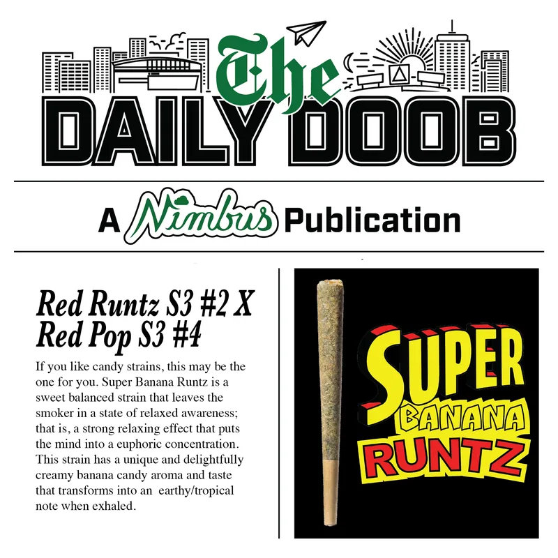 Nimbus Super Banana Runtz — The Daily Doobs Preroll, 1.0g, Hybrid — Massachusetts