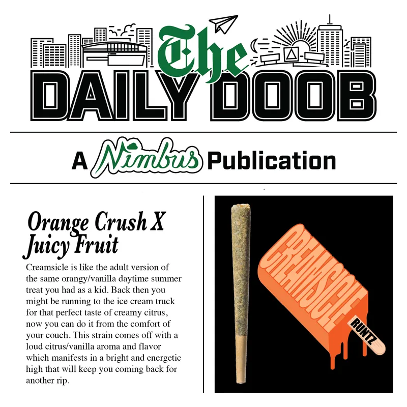 Nimbus Creamsicle Runtz — The Daily Doobs Preroll, 1.0g, Hybrid — Massachusetts
