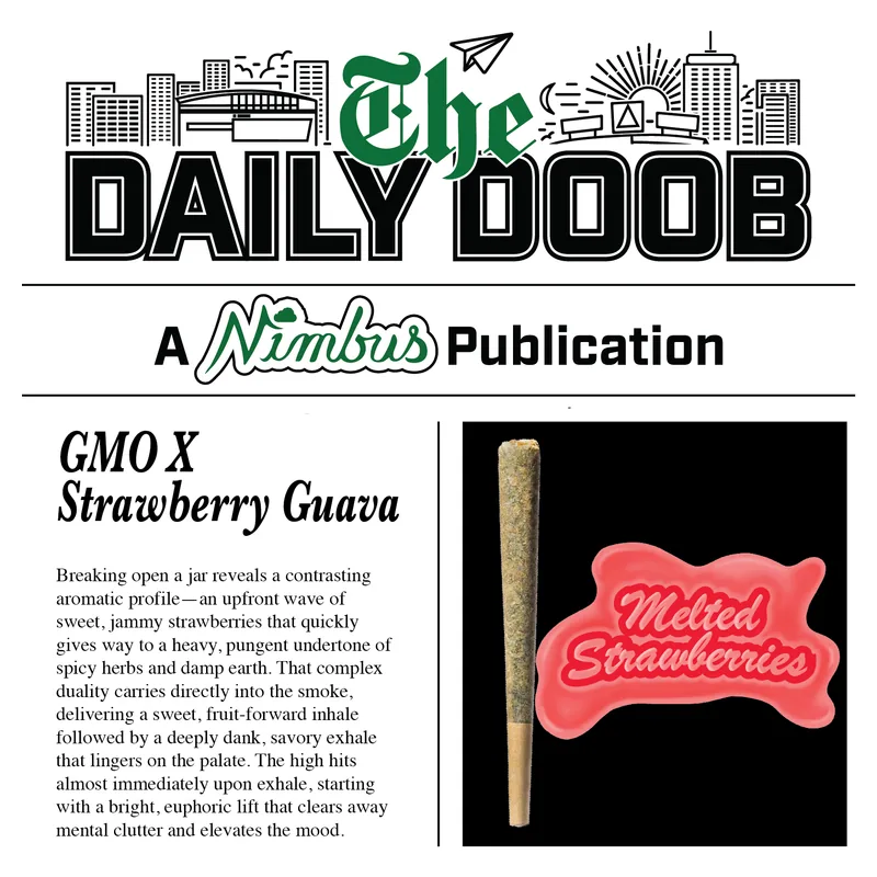 Nimbus Melted Strawberries — The Daily Doobs Preroll, 1.0g, Hybrid — Massachusetts