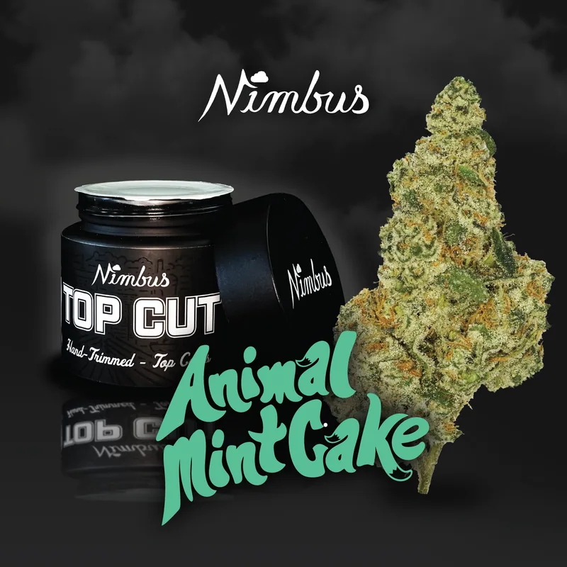 Nimbus Animal Mint Cake — Top Cut Flower, 3.5g, Indica-Dominant Hybrid — Massachusetts