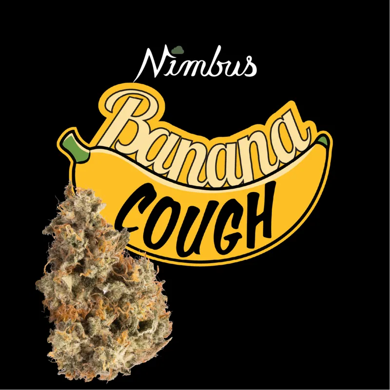 Nimbus Banana Cough — Flowah Flower, 3.5g, Sativa — Massachusetts