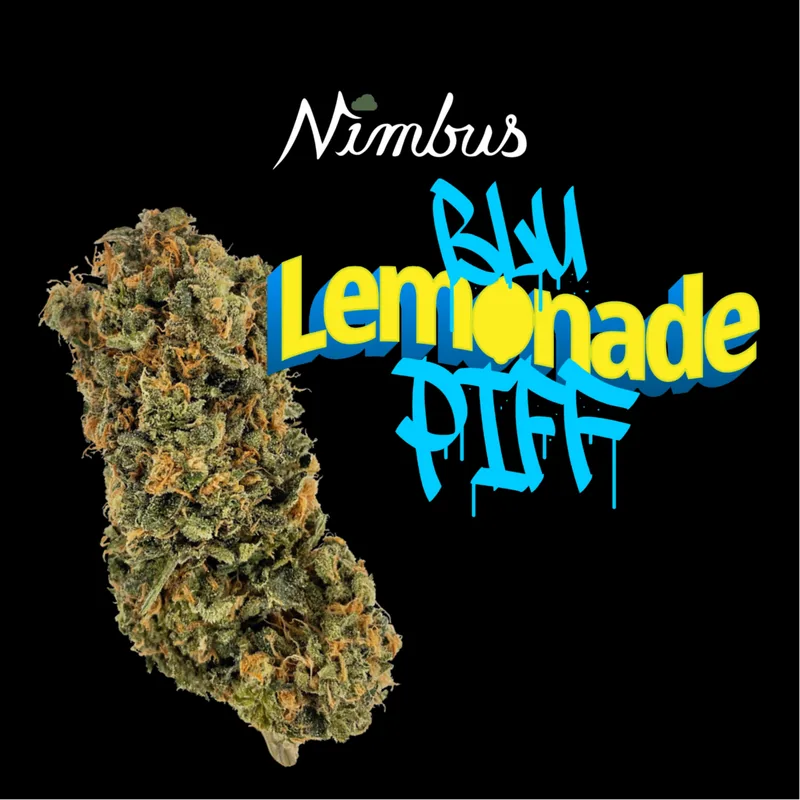 Nimbus Blu Lemonade Piff — Flowah Flower, 3.5g, Sativa — Massachusetts