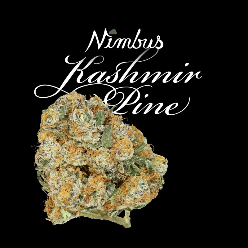 Nimbus Kashmir Pine — Flowah Flower, 3.5g, Hybrid — Massachusetts