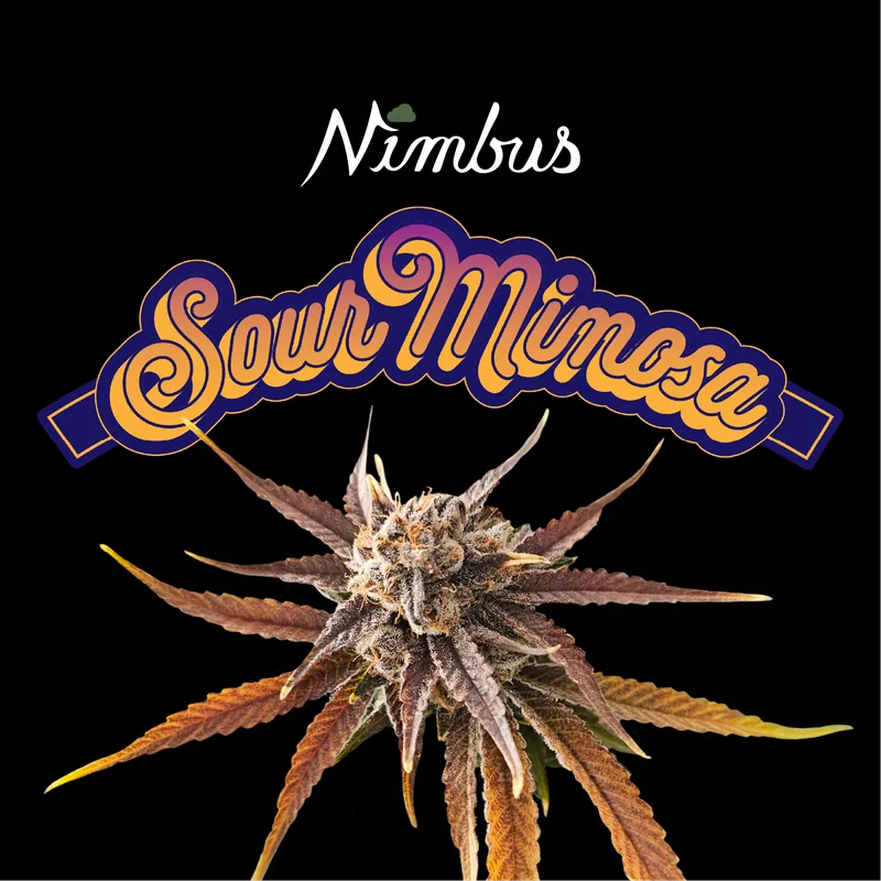 Nimbus Sour Mimosa — Flowah Flower, 3.5g, Indica-Dominant Hybrid — Massachusetts