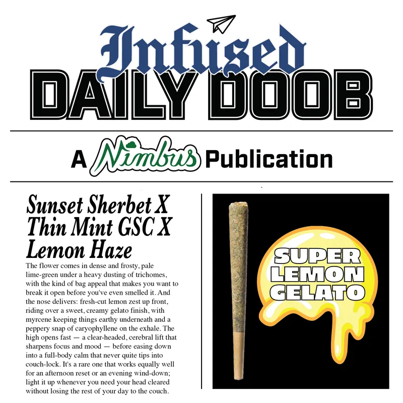 Nimbus Super Lemon Gelato — Infused Daily Doob Preroll, 1.0g — Massachusetts