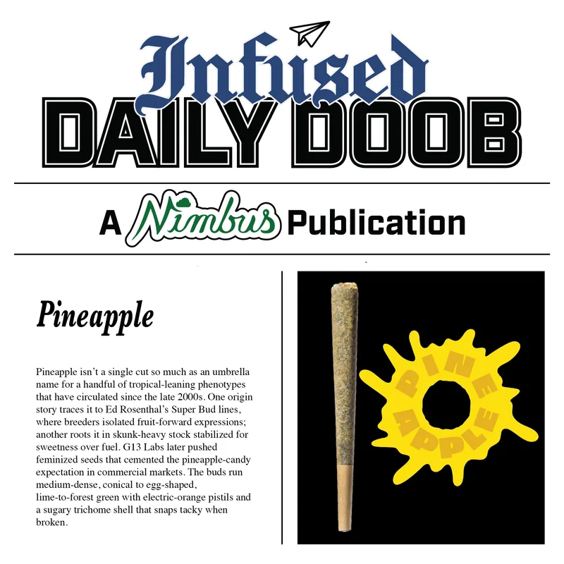 Nimbus Pineapple — The Daily Doobs Preroll, 1.0g, Hybrid — Massachusetts