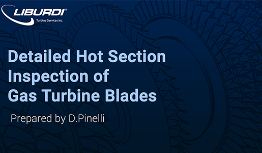 Hot section inspection of gas turbine blades article