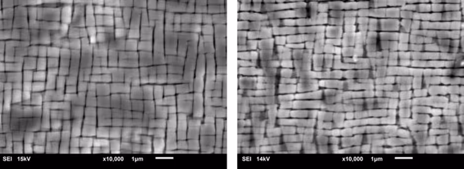 Microstructure of single crystal turbine blade after FSR showing restored gamma prime
