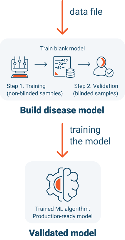 training the blank model and validating the model