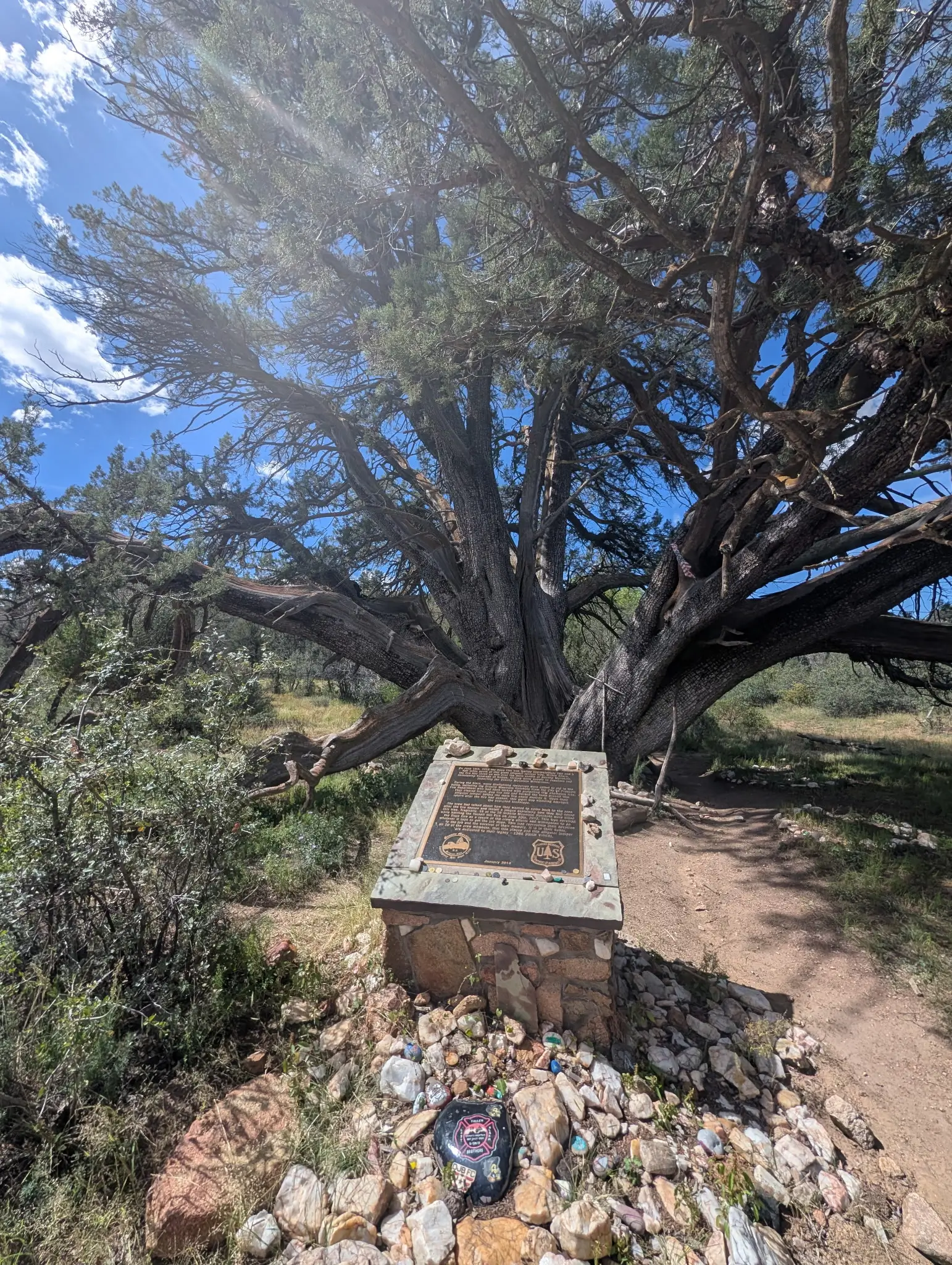 Granite Mountain juniper and Hotshots memorial plaque near Prescott, Arizona, visited on a Prescott House group hike
