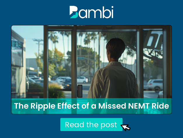 Navigating Life's Precarious Path: The Ripple Effect of a Missed NEMT Ride