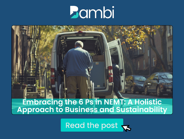 6 Ps in NEMT: A Holistic Approach to Business and Sustainability