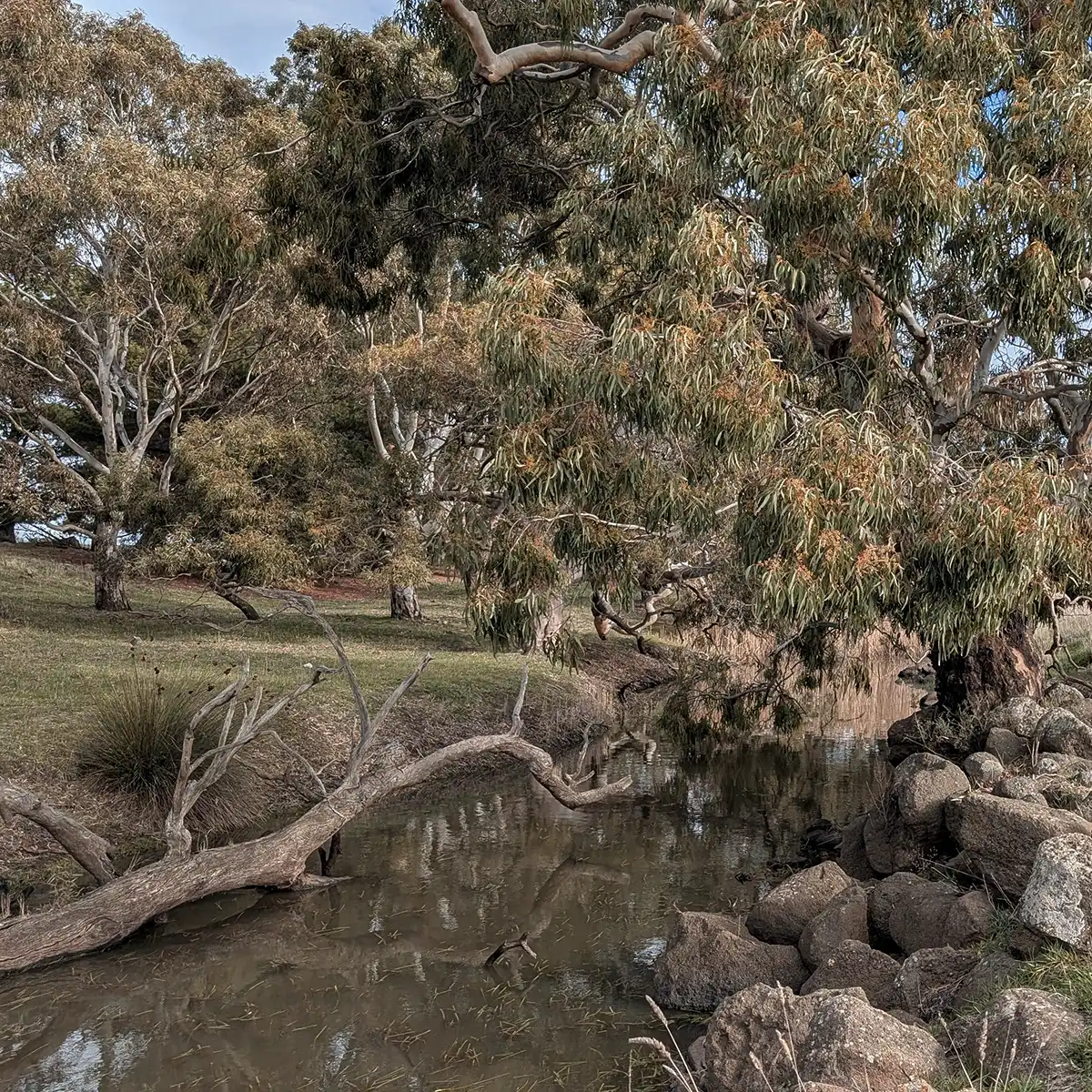 Partnering with Mitchell Shire to deliver the Bald Hill to Merri Creek Landscape Master Plan