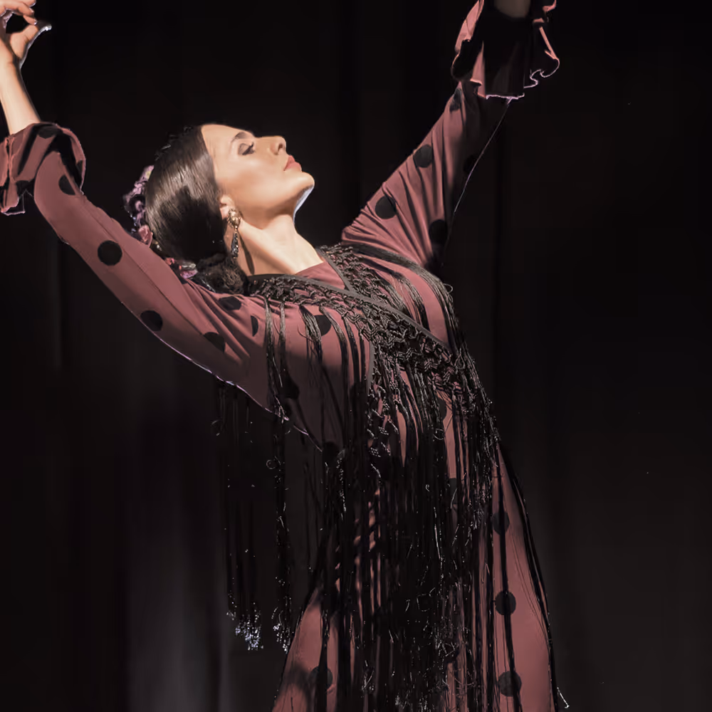 La Emi Flamenco Performer