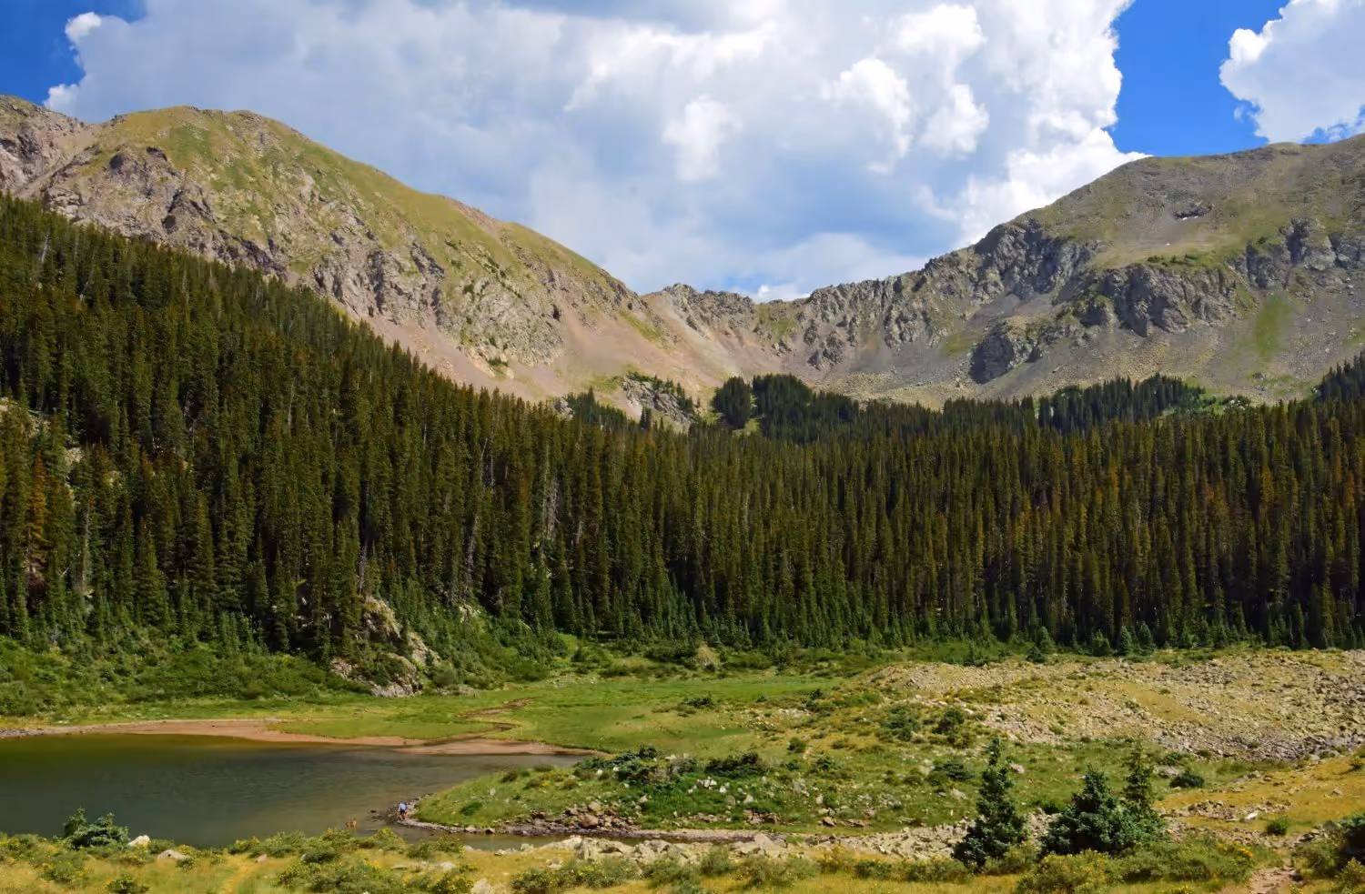 Green mountains and trees in Northern New Mexico