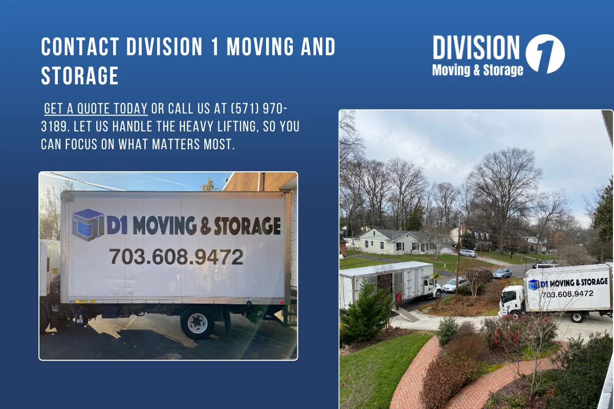 Contact Division 1 Moving and Storage.webp