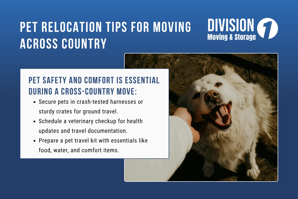 Pet Relocation Tips for Moving Across Country.webp