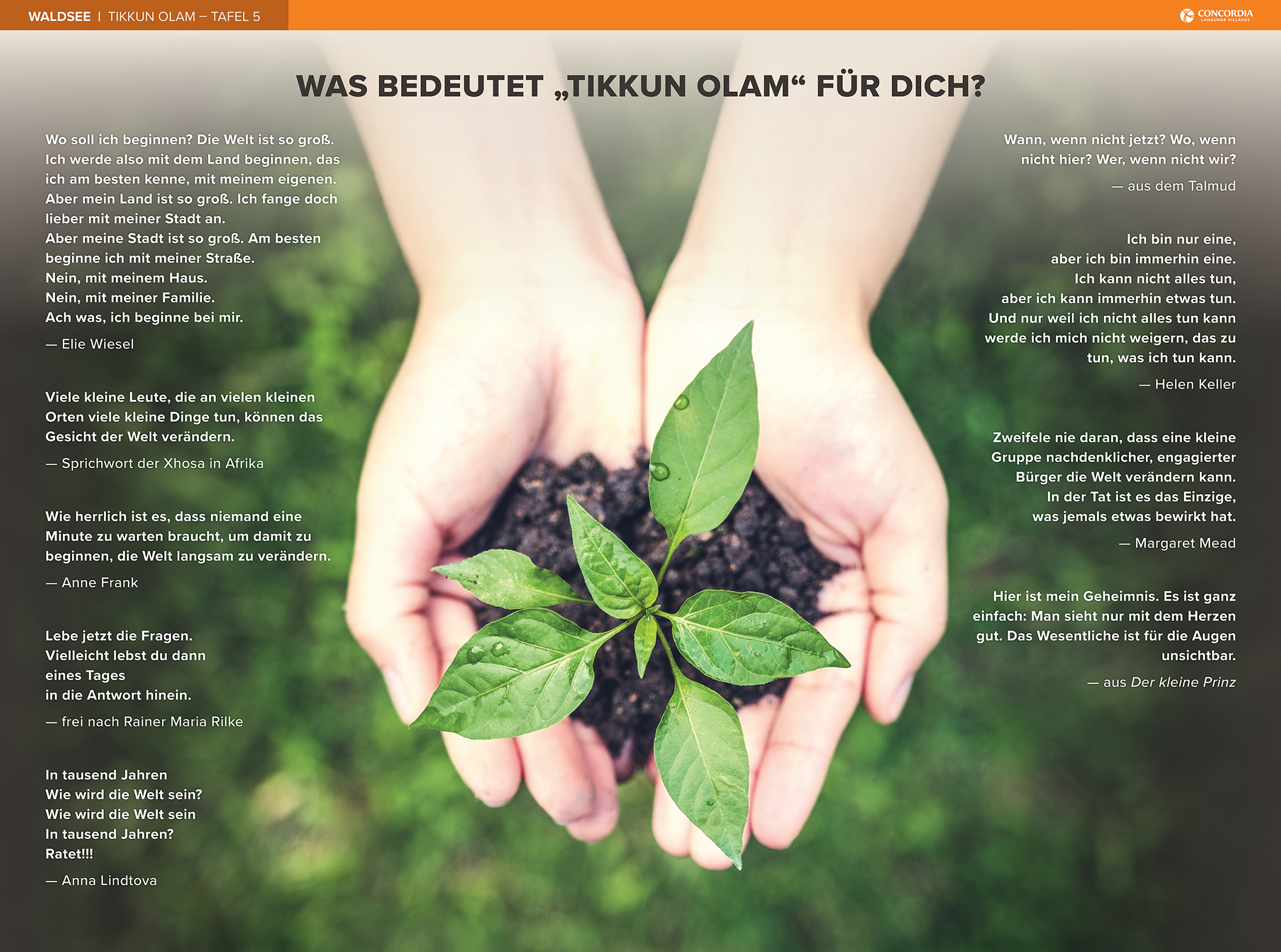 Waldsee Tikkun Olam Theme 1 Image