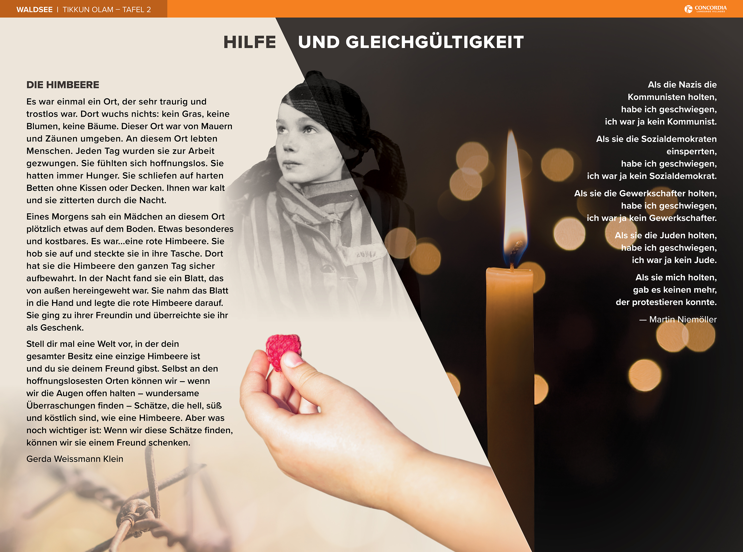 Waldsee Tikkun Olam Theme 1 Image