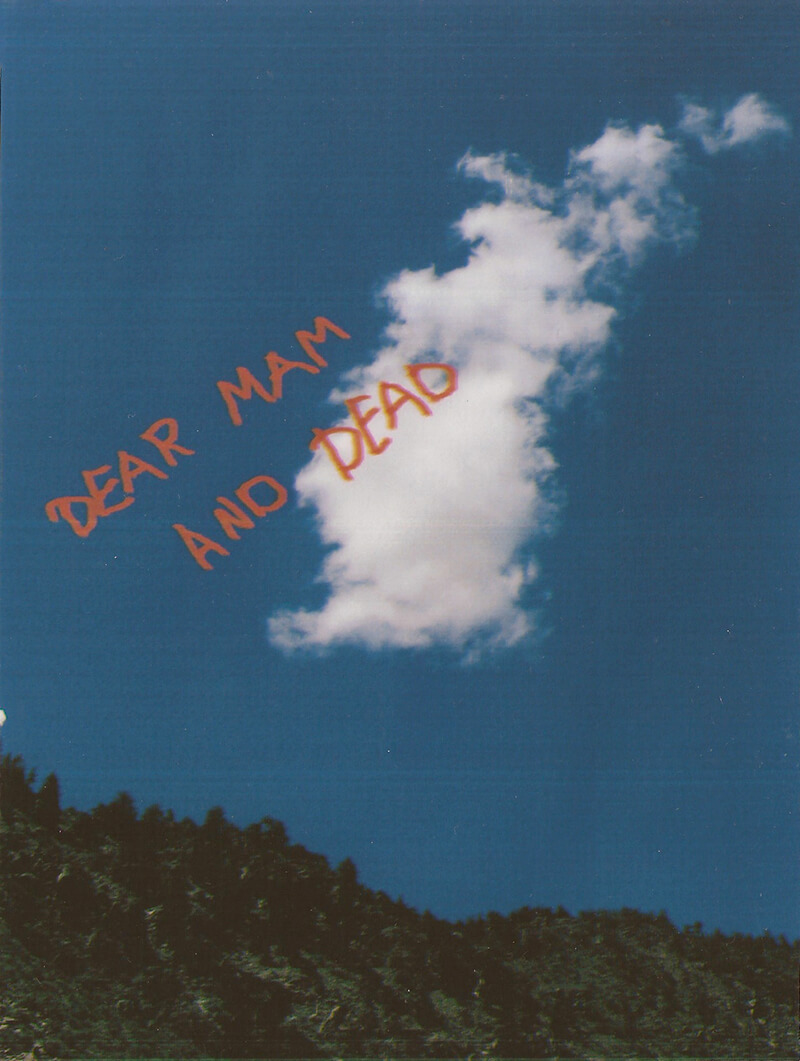 "Dear Mam and Dead" — Artwork by Alisa Olmert