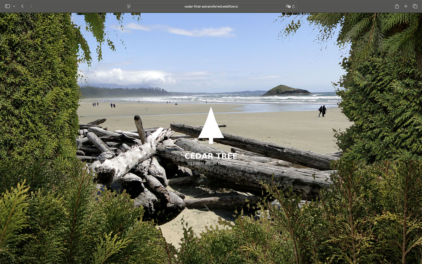 A screenshot of the website I designed and developped for a client