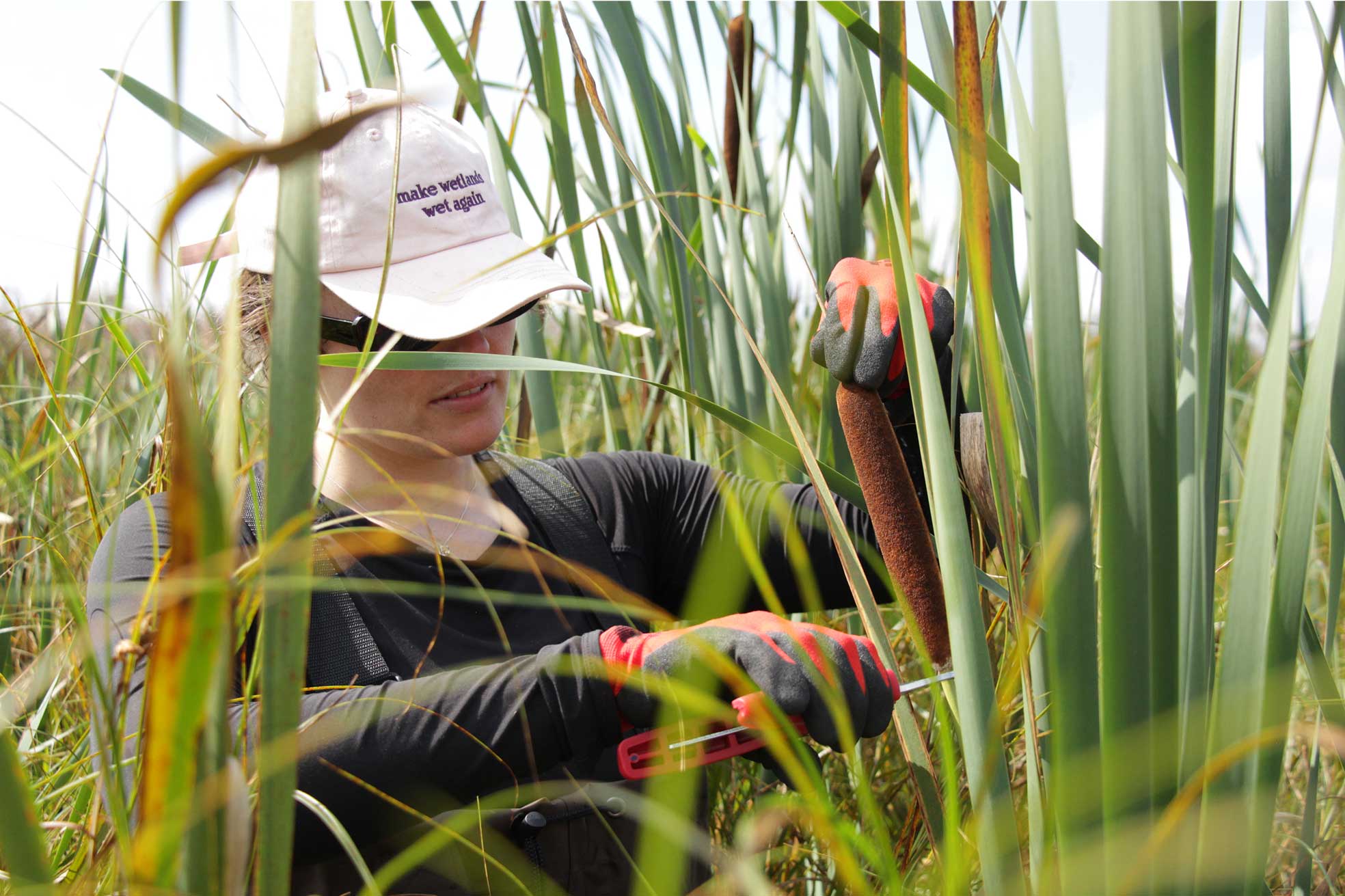 close up to the hands of a person supporting a sample of biopuff material 
