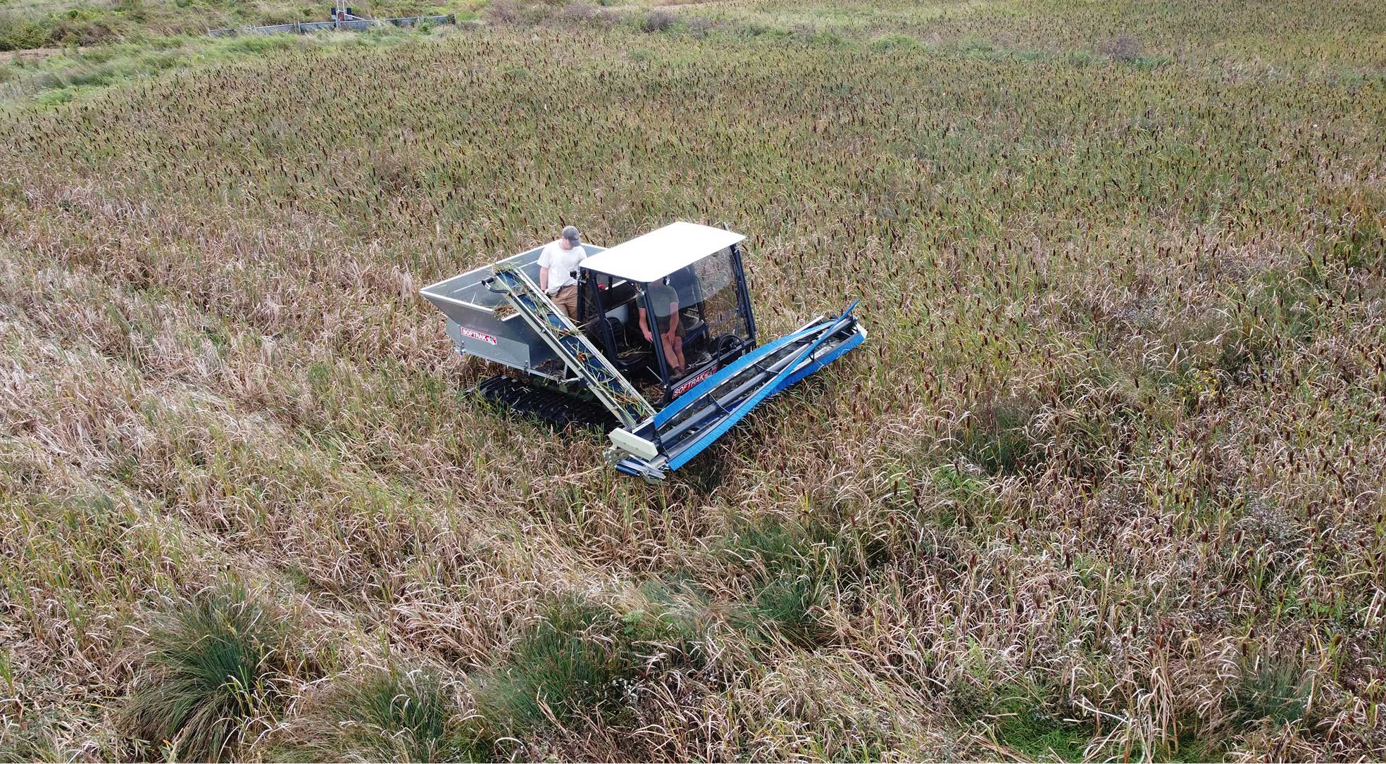 Two men operating a Soft Trak amphibious vehicle harvesting reeds in a wetland area.