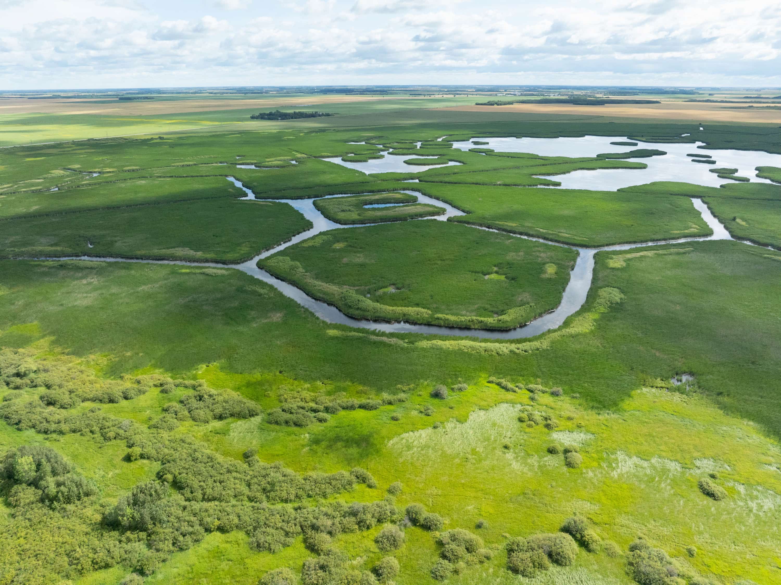 Aerial view of a green marshland with winding waterways under a partly cloudy sky.