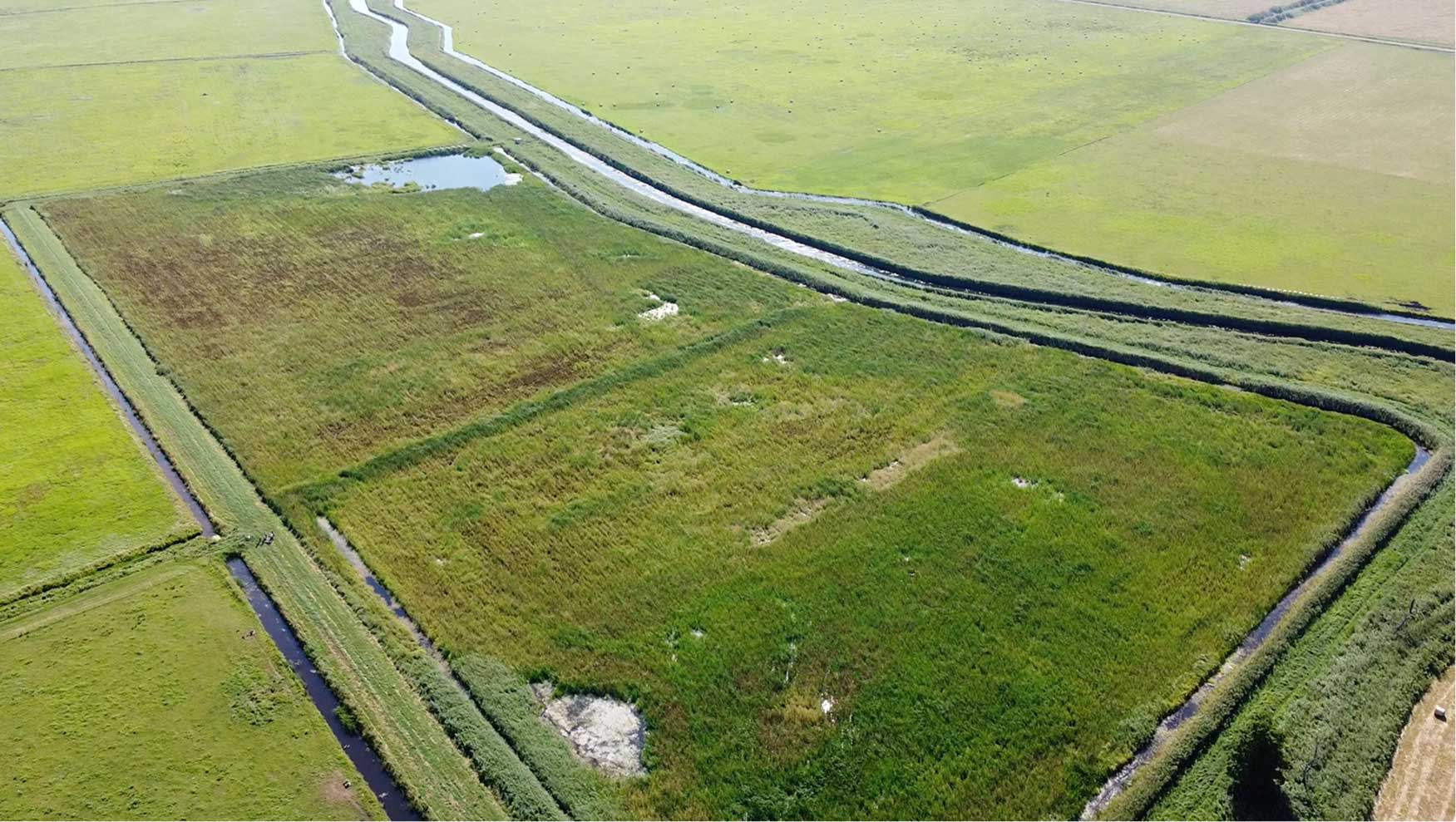 Aerial view of green agricultural fields separated by narrow irrigation canals under clear daylight.