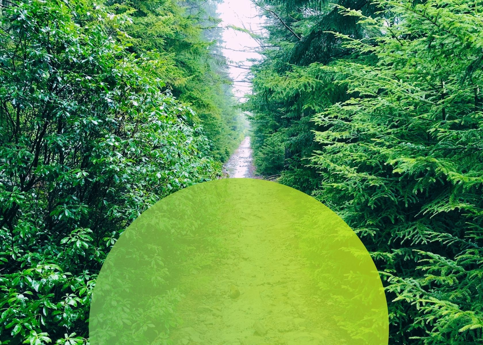 Navigating the Transition