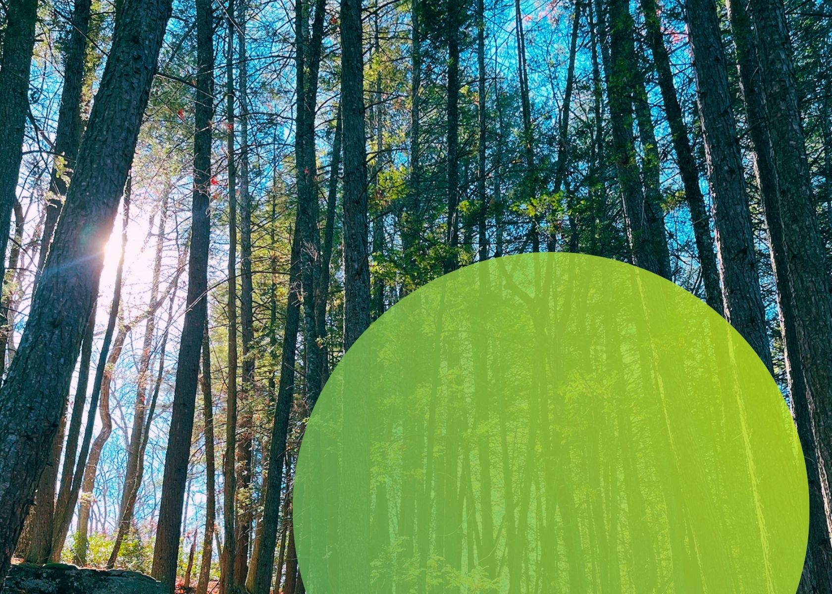 Strengthening Family Bonds in High-Stress Careers