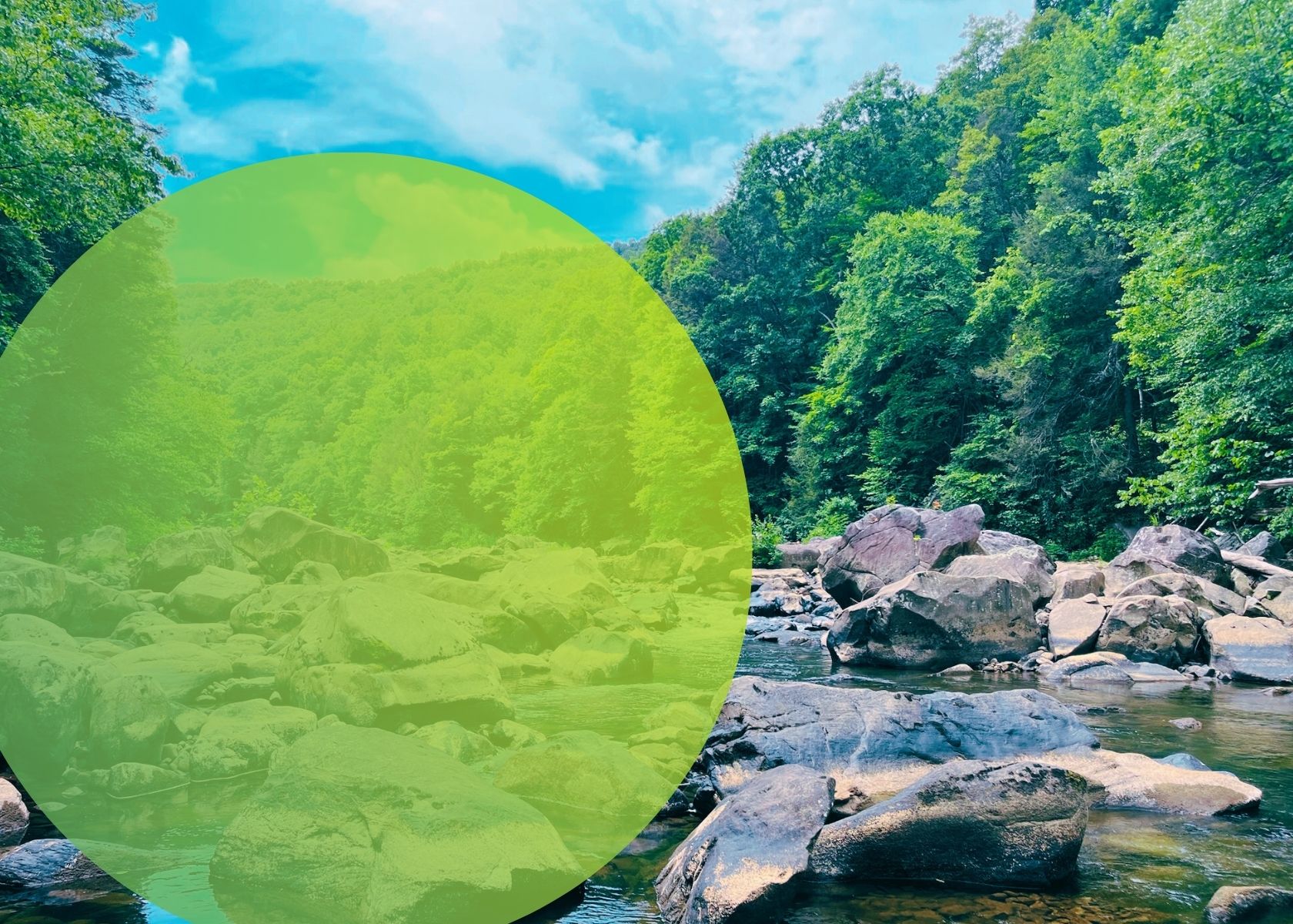 A Perspective on Law Enforcement Mental Health