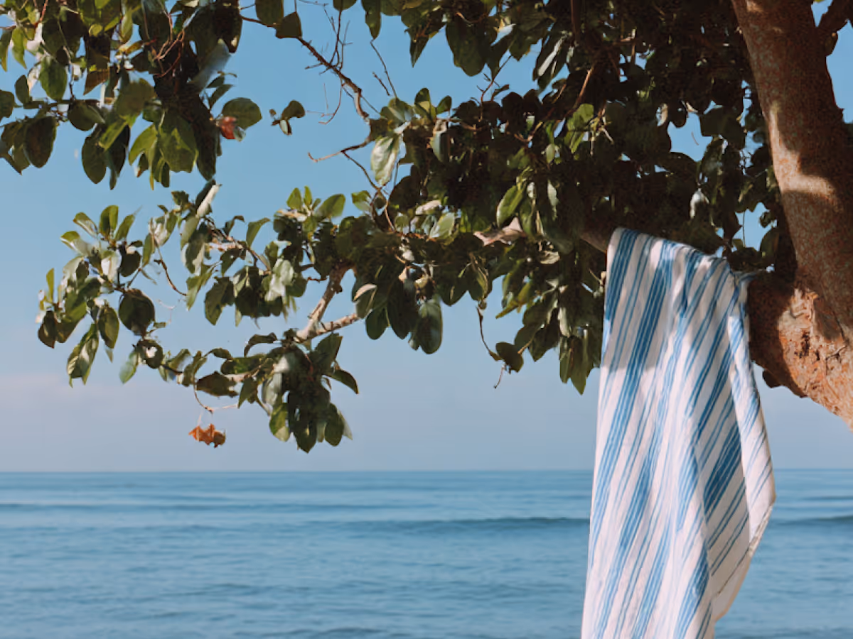 Tree branch with green leaves overhanging a calm ocean, with a blue and white striped towel hanging from the branch.
