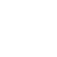 Painters USA logo